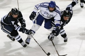 kering.com-CBA联盟引入国际规则提升裁判判罚标准，cba比赛规则和国际篮联一样吗